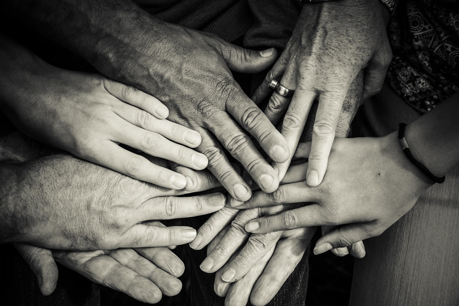 Many Hands Photo