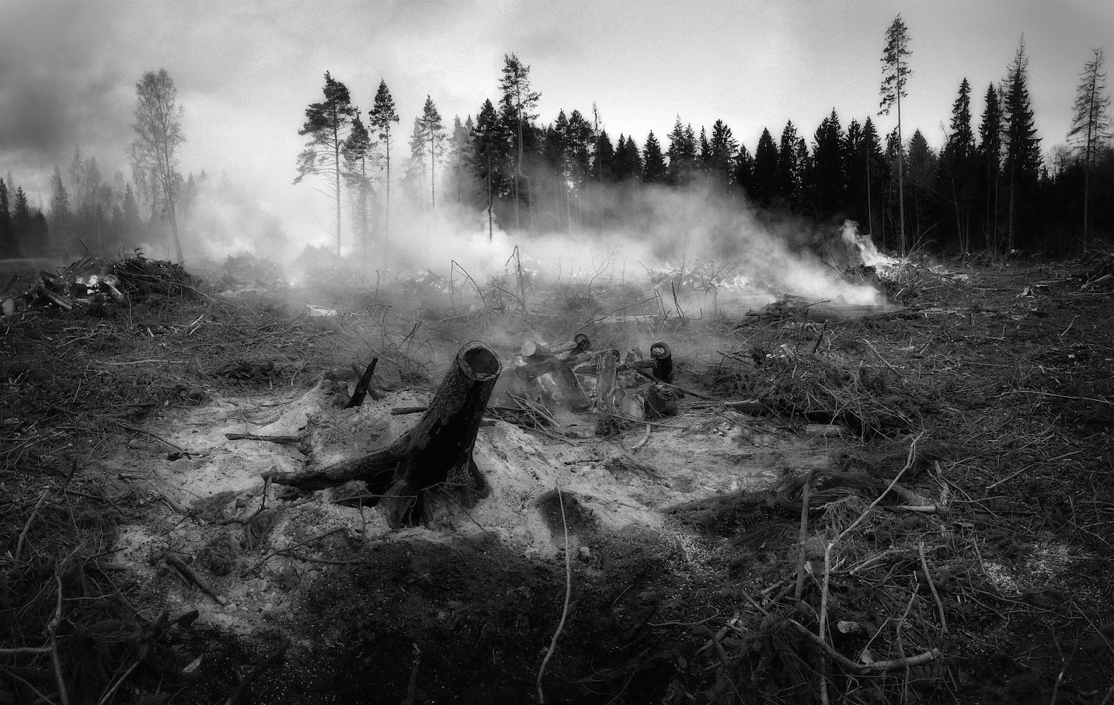 Natural Disaster Photo