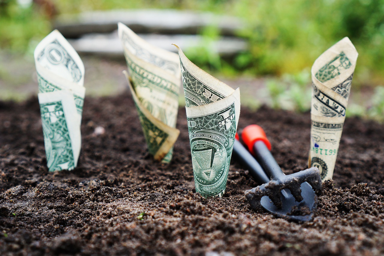 Growing Money Graphic